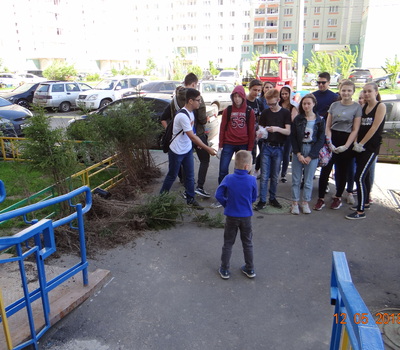&quot;Лес Победы&quot; 2018